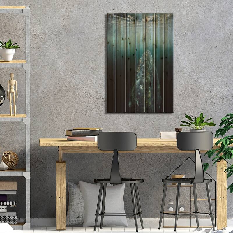 Gray Whale Adult Underwater In Breeding Lagoon, Magdalena Bay, Baja California, Mexico Print On Wood by Tui De Roy - Multi-Color