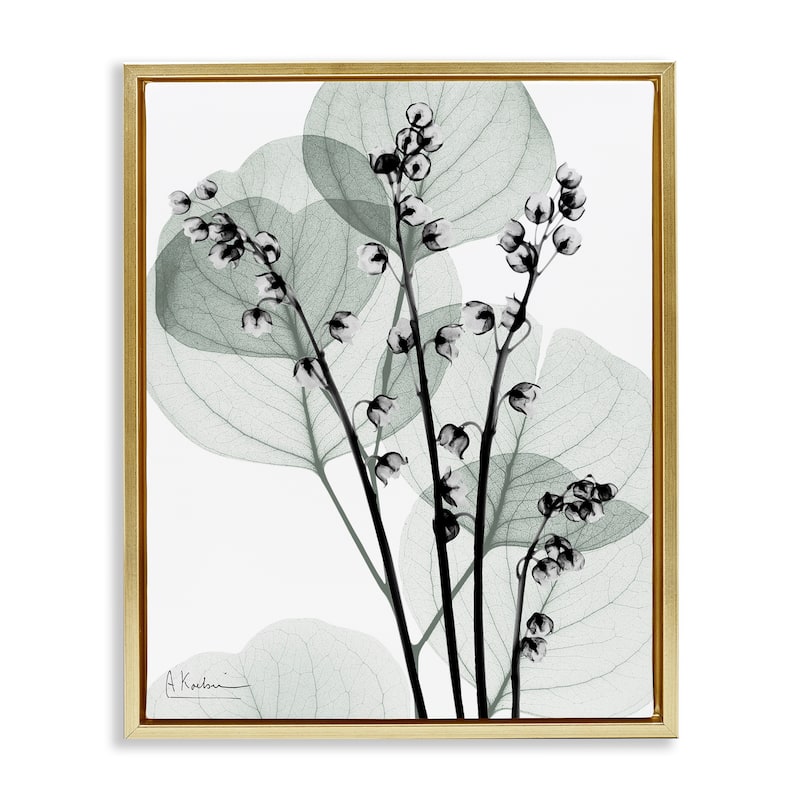 Stupell Fresh Minimalist Herbs Framed Floater Canvas Wall Art Design By Albert Koetsier - 17 x 21 - Gold