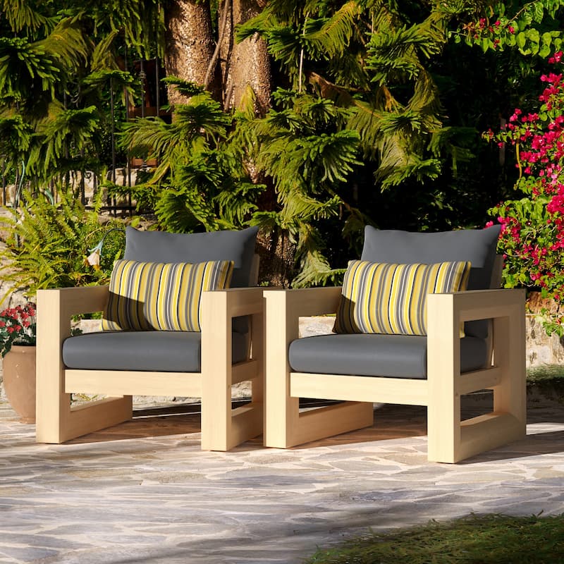 Benson 2 Piece Sunbrella Outdoor Patio Club Chairs