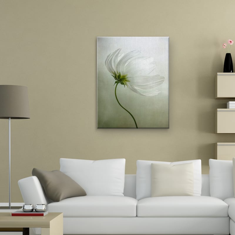 Cosmos Charisma by Mandy Disher Canvas Art Print