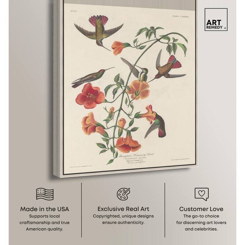 Humming Bird 1834 Canvas by Art Remedy