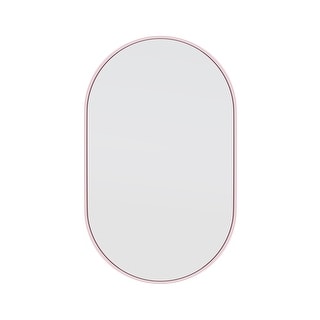 Glass Warehouse 36 in. H x 22 in. W Pill Shape Stainless Steel Framed Mirror