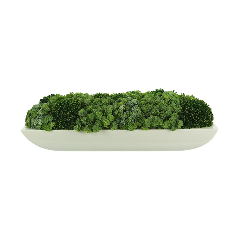 Chick Succulent and Sedum Arrangement in Pot - Green