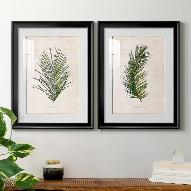 Palm Botanical I Premium Framed Print - Ready to Hang
