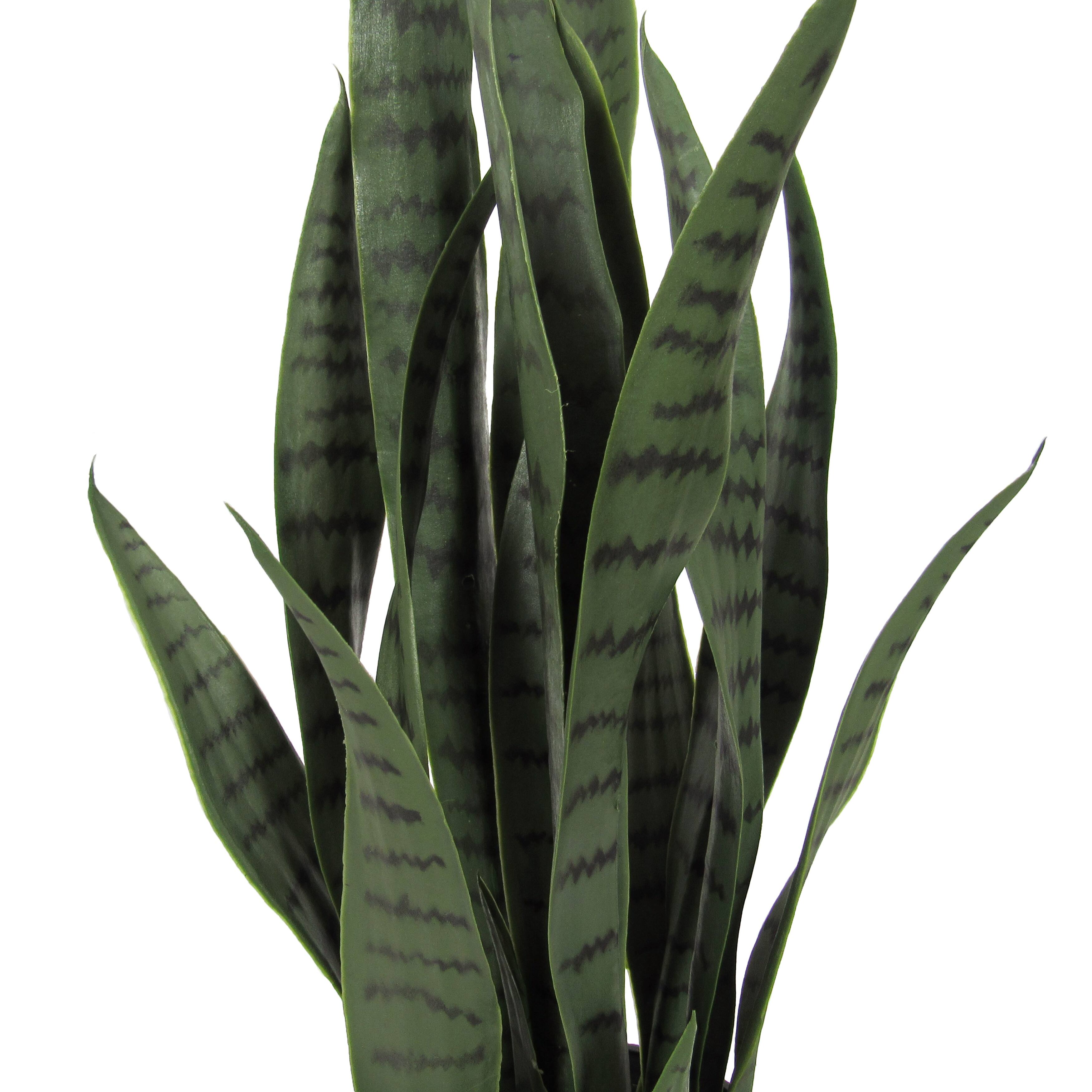 Artificial Sansevieria Snake Plant in Black Pot On Sale Bed Bath