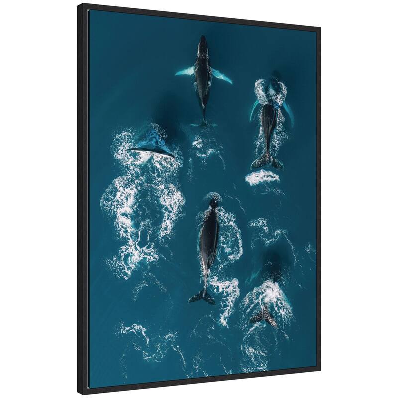 Kate and Laurel Sylvie School of Humpback Whales in the Blue Ocean Framed Canvas by Michael Schauer - 28x38