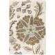 preview thumbnail 3 of 50, Livabliss Athena Transitional Area Rug White - Rectangle - 2' x 3'