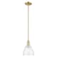 Option Champagne Bronze / Seedy