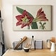 preview thumbnail 5 of 5, Amaryllis Splendor I Premium Gallery Wrapped Canvas - Ready to Hang