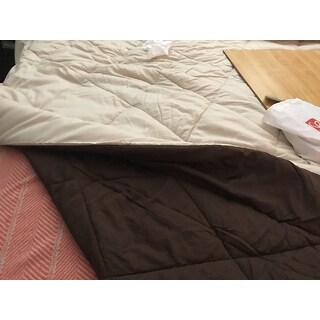 3 Piece All-Season Reversible Down Alternative Hypoallergenic Comforter Set