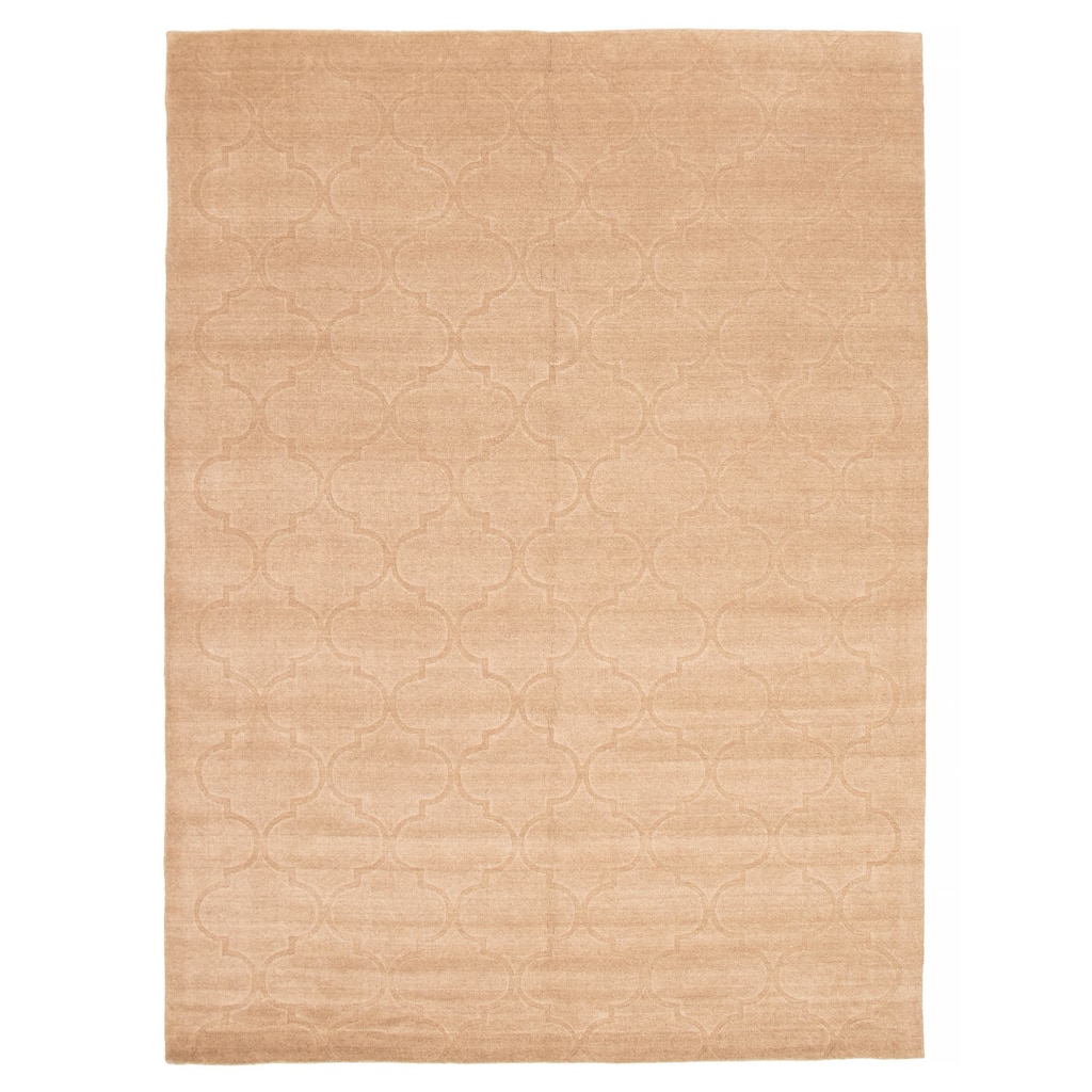 Kashkuli Gabbeh Tan Rug 8'2" x 11'1" - 8'2 x 11'1
