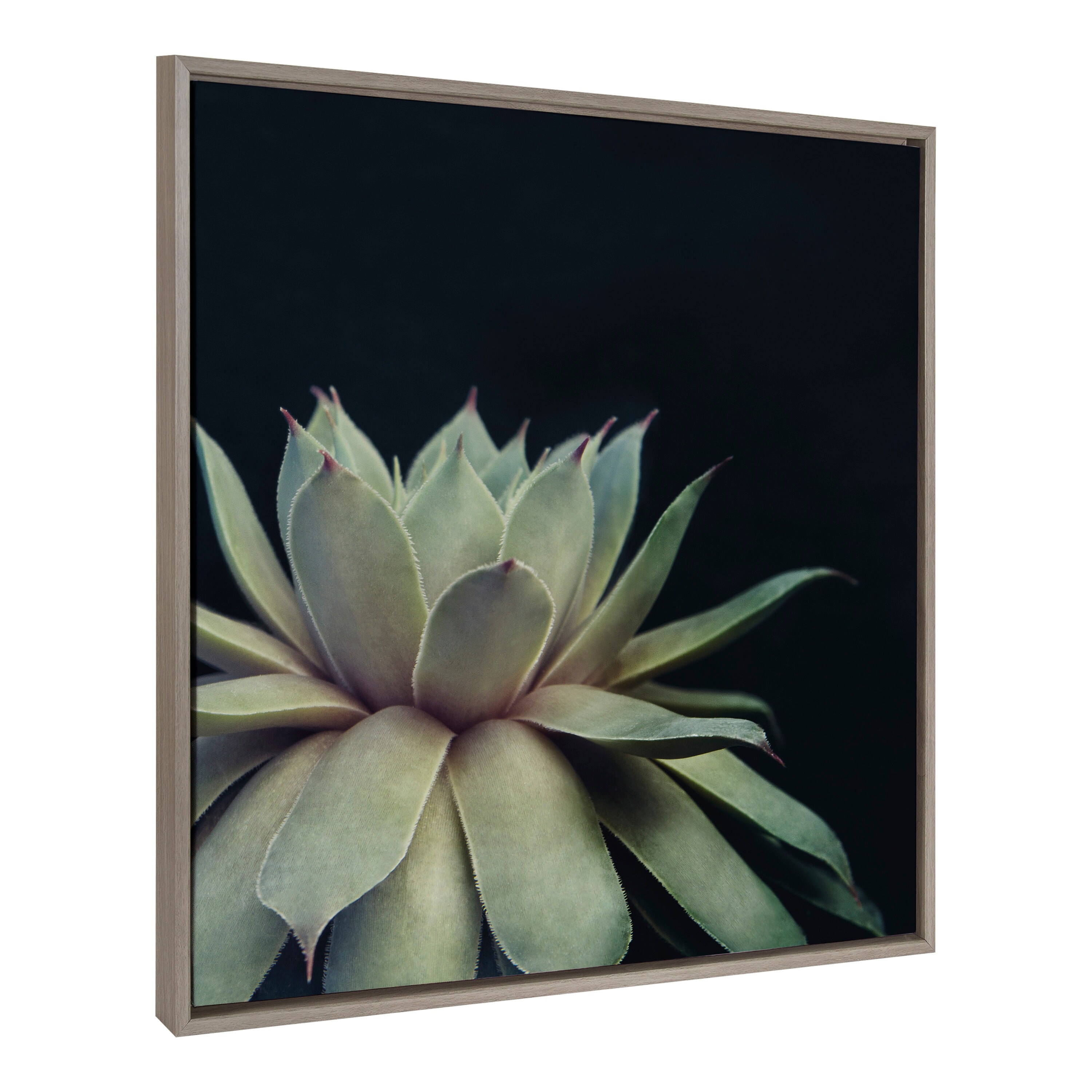 Sylvie Succulent 18x24 Gold Framed Canvas Wall Art by F2 Images Bed Bath   Beyond 17854134