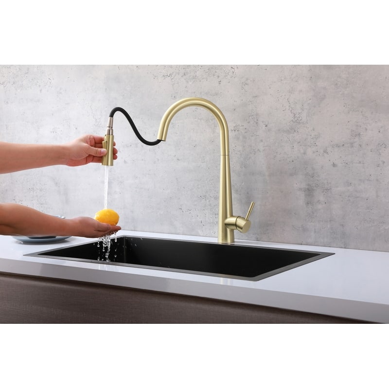 Indigo Home Single Handle Pull Down Sprayer Kitchen Faucet
