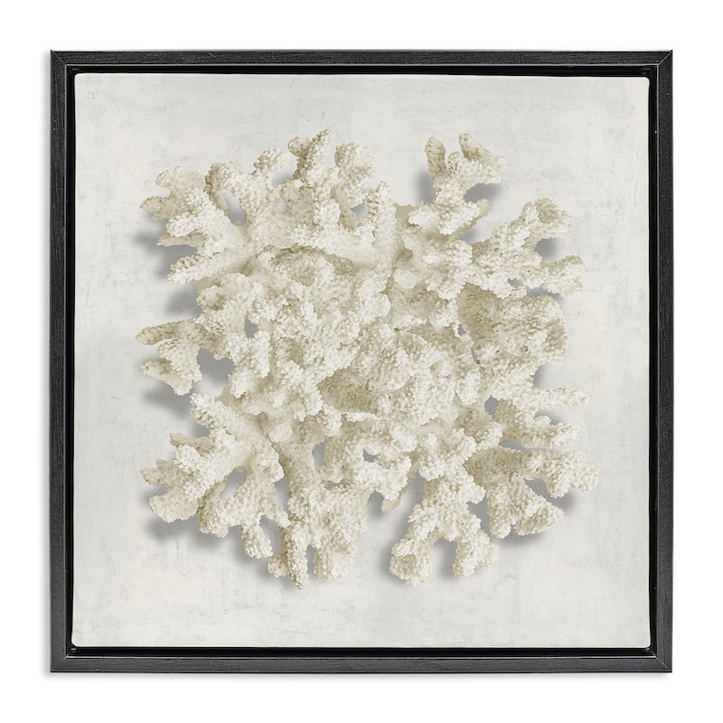 Stupell Aquatic Neutral Coral Framed Floater Canvas Wall Art Design By Caroline Kelly - 18 x 18 - Black