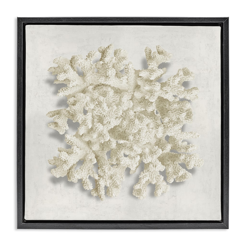Stupell Aquatic Neutral Coral Framed Floater Canvas Wall Art Design By Caroline Kelly