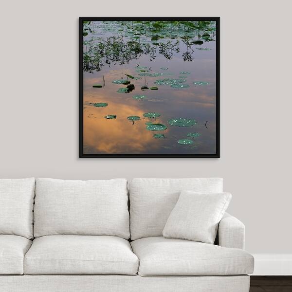 Shop Lily Pads On Loakfoma Lake Sky Reflection Noxubee National Wildlife Refuge Mississippi Multi Overstock 25531246