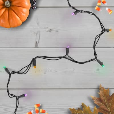 50 Count Purple, Green Orange LED Christmas Lights, 16 ft Black Wire