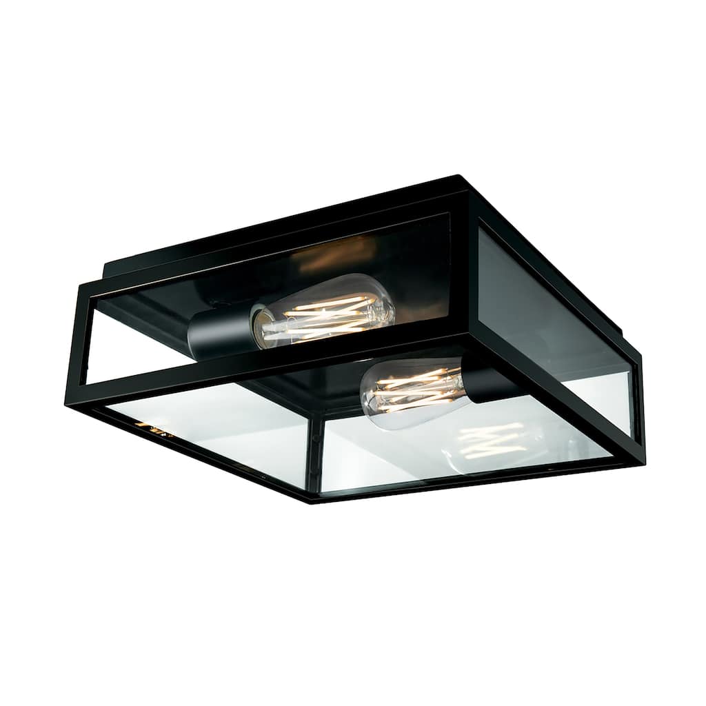 Atlas Lighting Capture Clear Glass and Metal Frame 2-Light Outdoor Flush Mount - 12 inch Wide