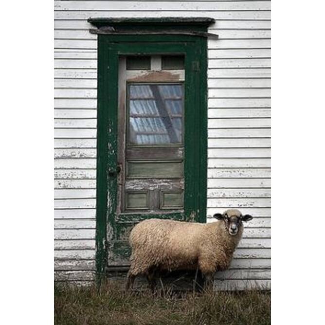 Pendleton Yakima Camp Mineral Umber Throw