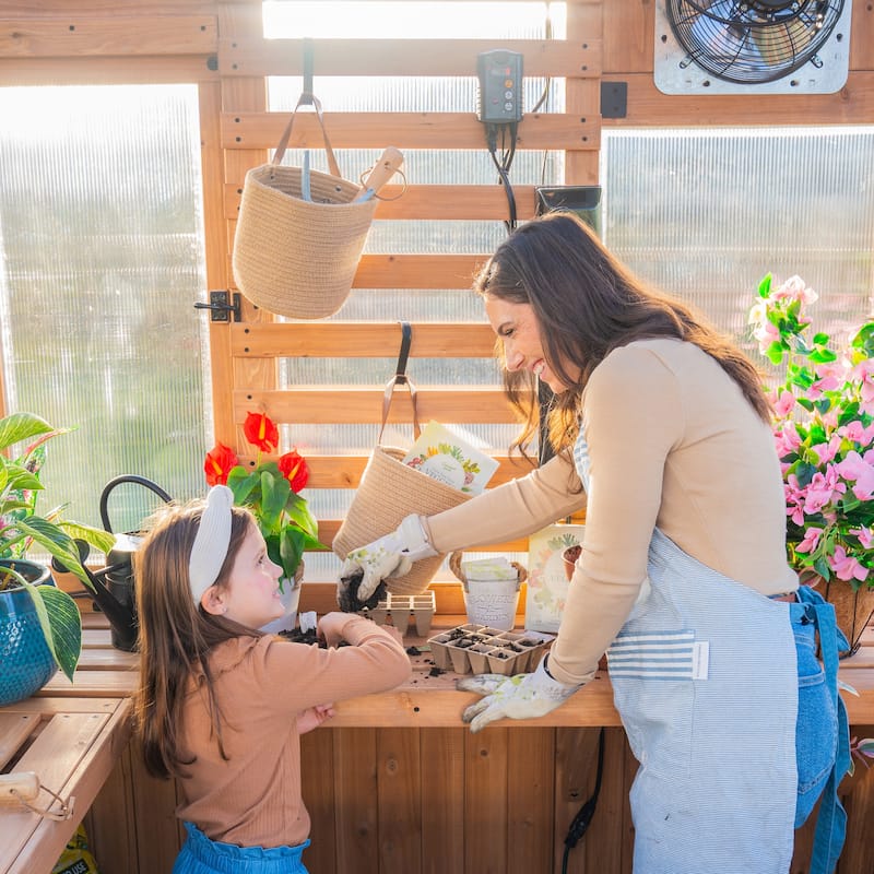 Backyard Discovery 9 x 6 Willow Greenhouse