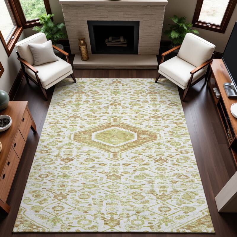 Premium Washable Super Soft Traditional Global Mayfield Rug