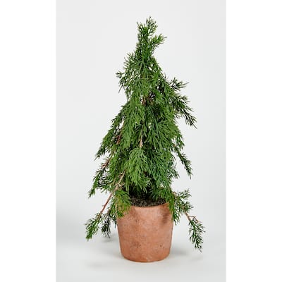 18" Potted Cedar Tree