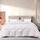 preview thumbnail 6 of 14, Beautyrest Color Feather And Down Comforter