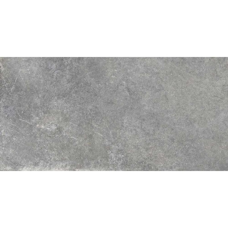 The Tile Life Wilds 12x24 Silver Lappato Porcelain Floor & Wall Tile