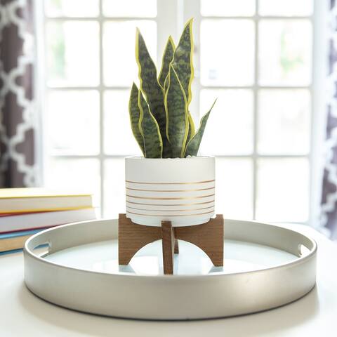 4.75" Gold Line Ceramic Planter on Wood Stand