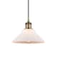 Option Matte White / Brushed Brass
