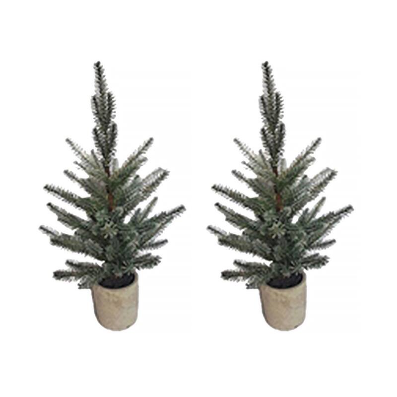 Pine Tree in Plastic Pot (Set of 2)