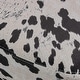 preview thumbnail 25 of 28, Bessie Fabric Cow Ottoman by Christopher Knight Home