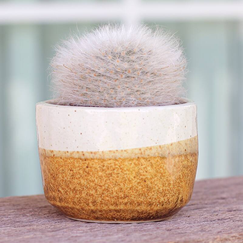 Novica Handmade Brown Bud Ceramic Flower Pot
