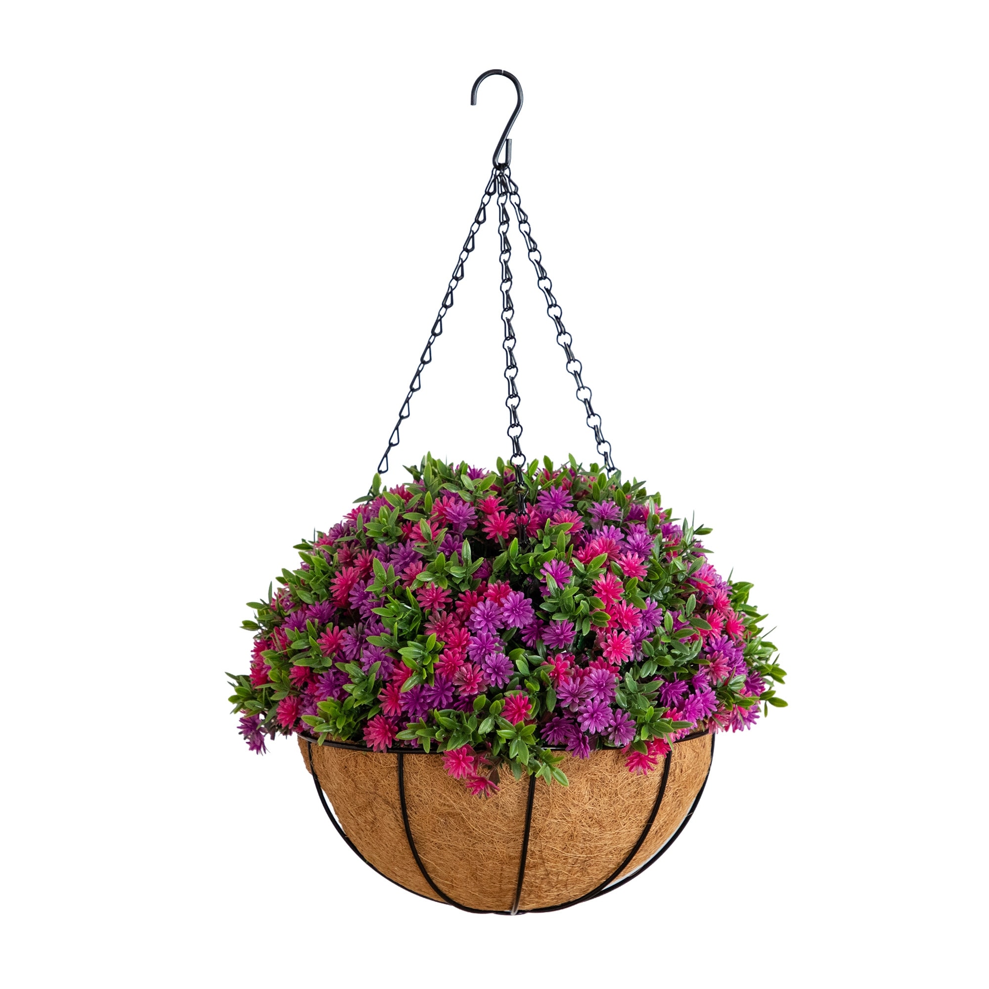 19-in UV Resistant Dandelion and Aptenia Plant in Hanging Basket