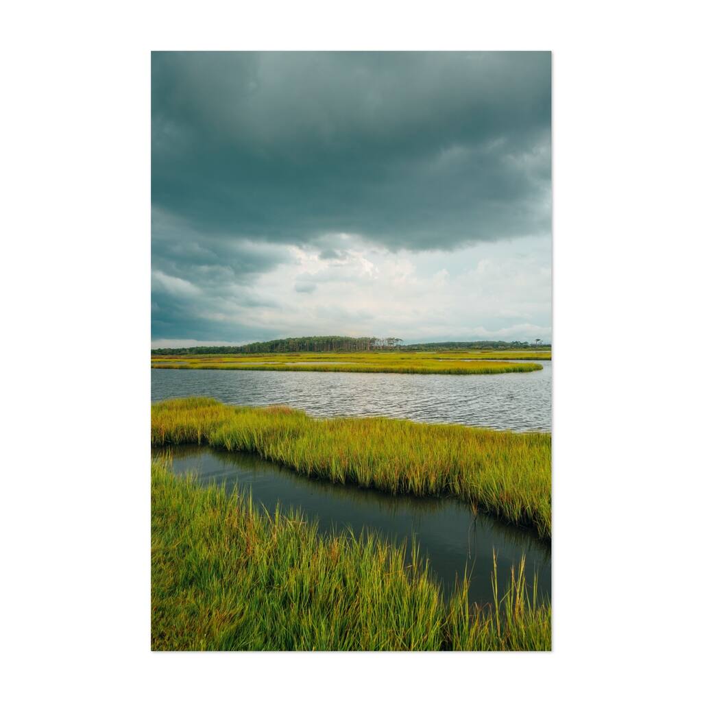 Assateague Island Assateague Island Marsh 01 Beach Art Print/Poster