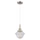 Option Seedy Shade / Brushed Satin Nickel