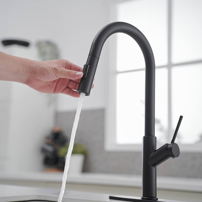 WIZ Single Handle Pull Down Sprayer Kitchen Faucet in Matte Black