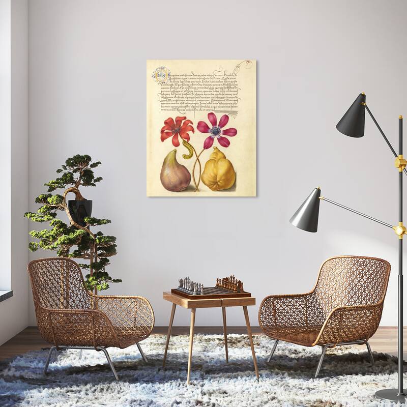 Wynwood Studio Canvas Floral and Botanical Hoefnagel - Poppy Anemone Caterpillar Fig and Quince Wall Art Canvas Print - 30 x 36
