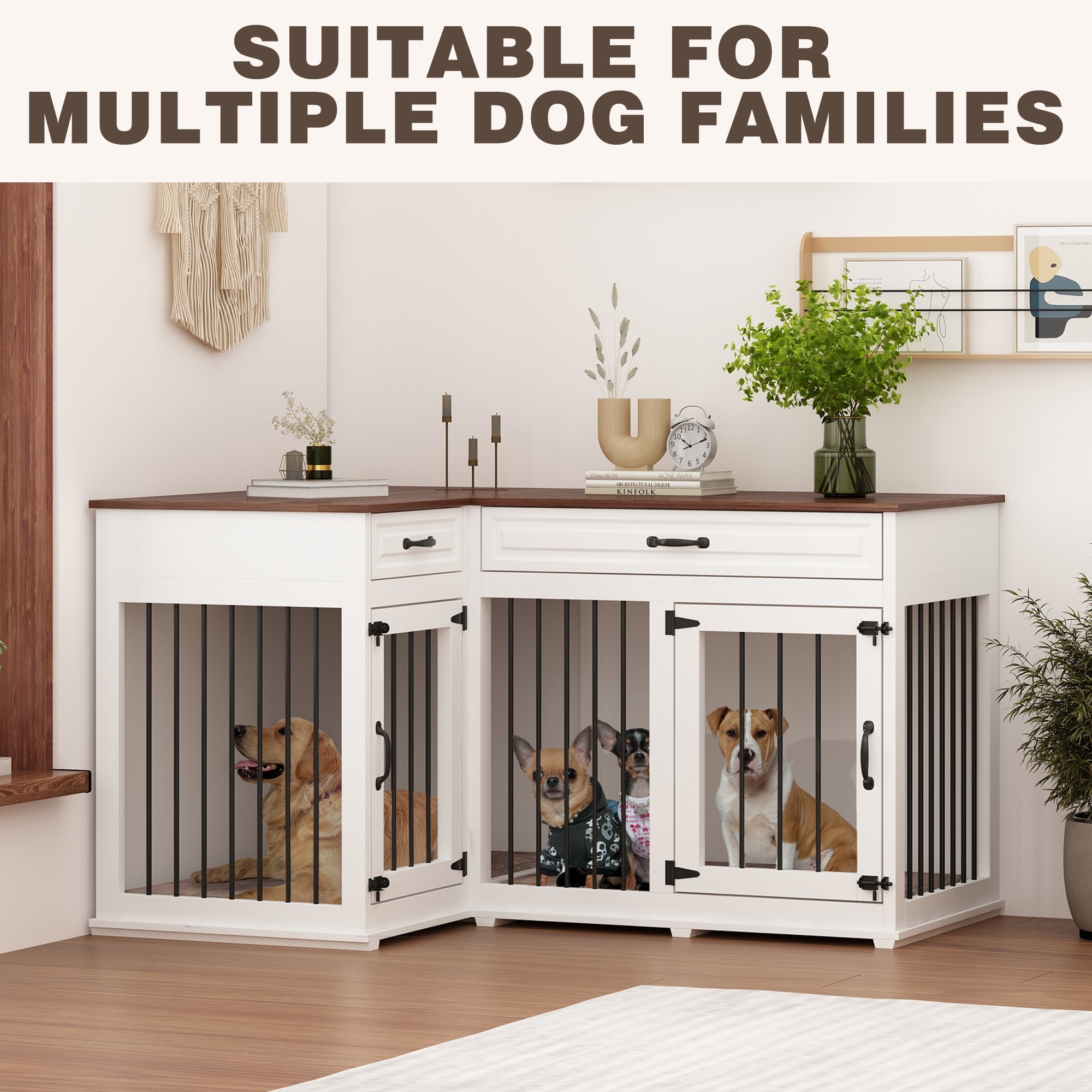 Crate for on sale 2 dogs