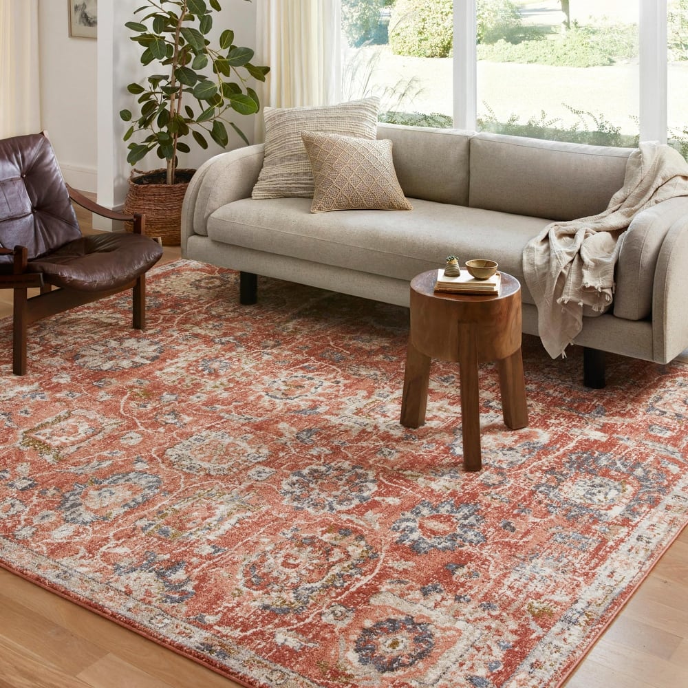 Alexander Home Valeria Boho Botanical Distressed Area Rug