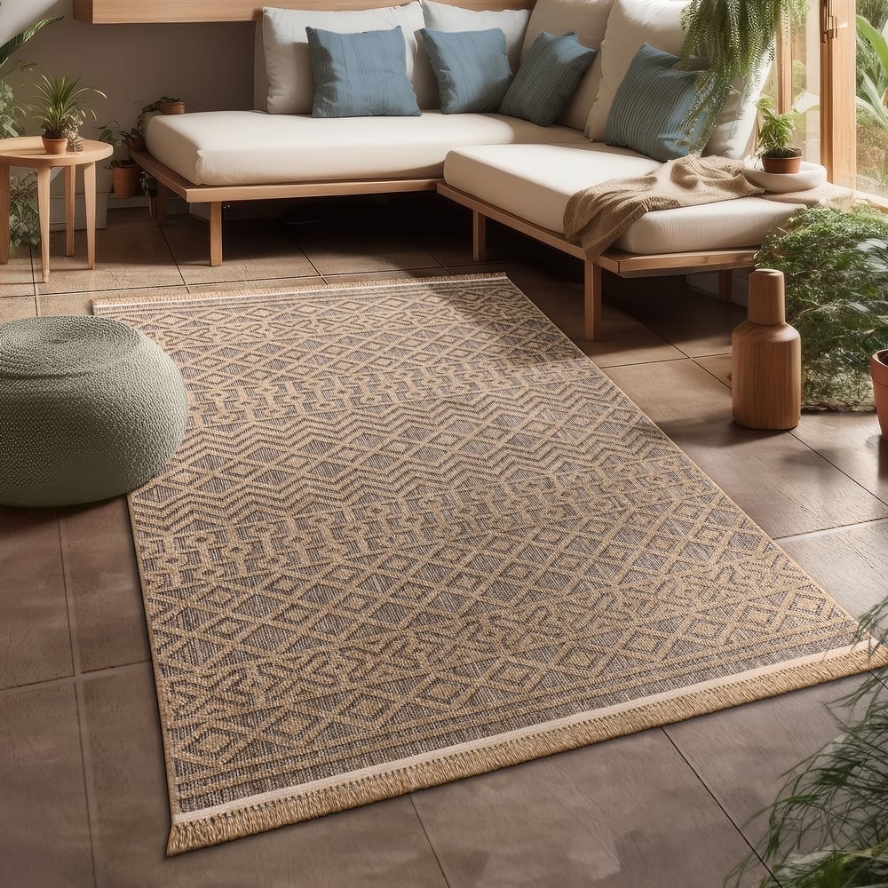 Indoor and Outdoor Rug Natural Motif with Modern Aztec Details