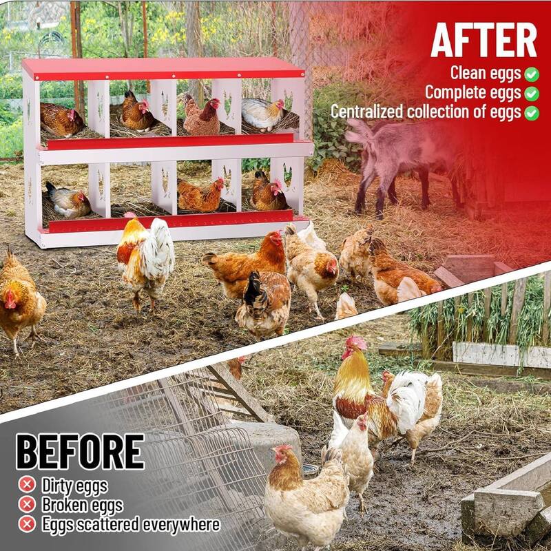 Chicken Nesting Boxes with Roll Out Egg Collection