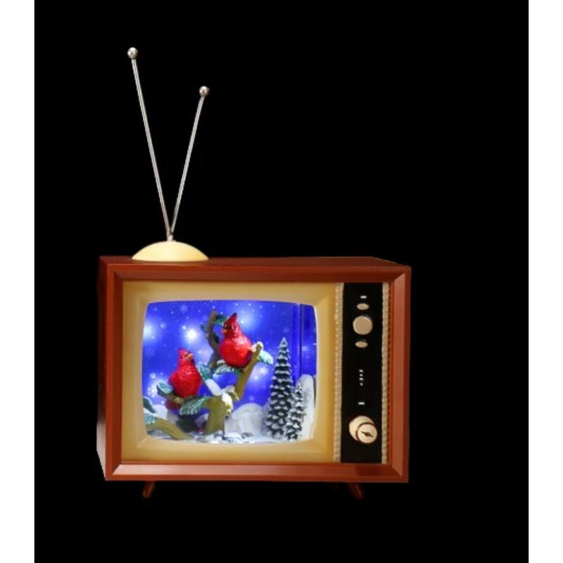 LED Lighted Cardinal Winter Scenery TV Christmas Decoration - 9.25" - Set of 2