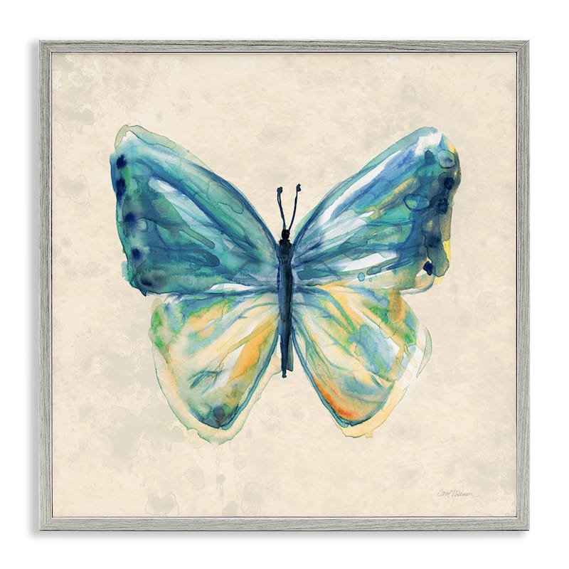 Stupell Bright Watercolor Butterfly Framed Giclee Art Design By Carol Robinson - 24 x 24 - Grey
