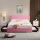 Option Pink