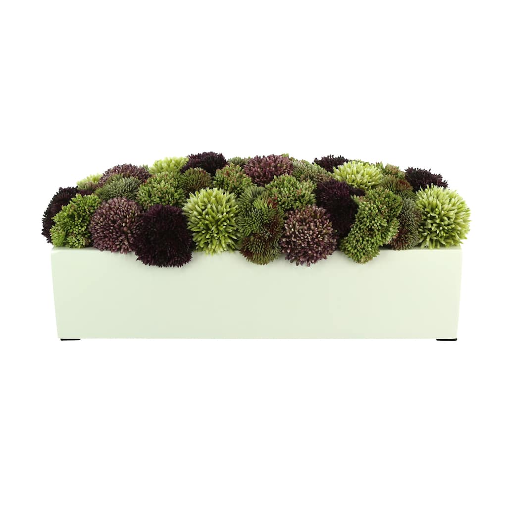 Sedum and Thistle Arranged in Rectangular Planter