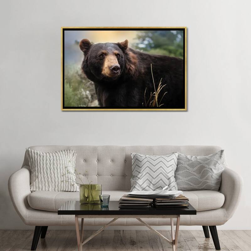 iCanvas "Montana Black Bear" by Patsy Weingart Framed