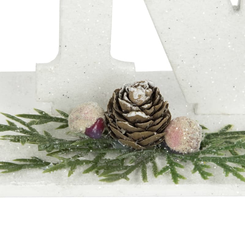 10.25" White and Silver Noel and Snowflake Christmas Sign with Holly
