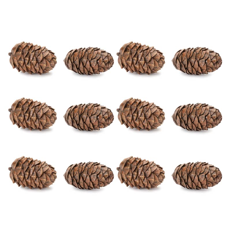 Pine Cone Decor (Set of 12)