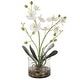 preview thumbnail 1 of 2, Uttermost Glory Orchid - 12 W x 15.75 H x 12 D (inches) White Orchid